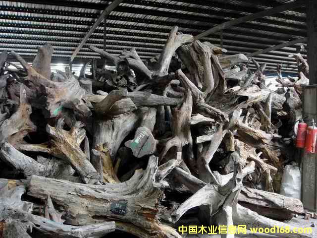 �ϓ�t��֦���^�������Ԕ����B