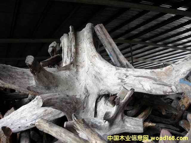 �ϓ�t��֦���^�������Ԕ����B