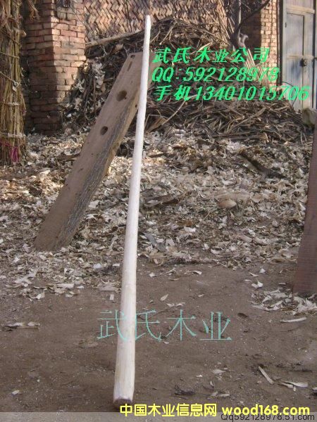 ���ʮ���U��Ԕ����B