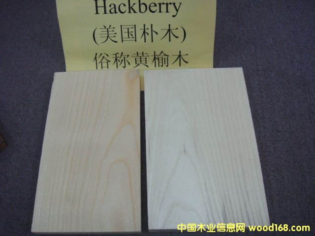 �����S��ľ Hackberry��Ԕ����B