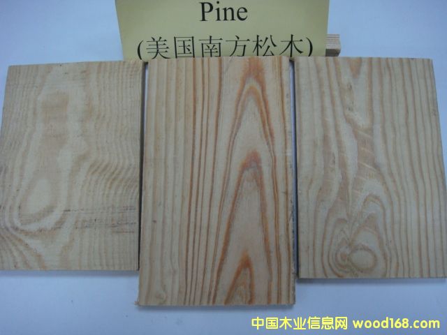 �����Ϸ���ľPine��Ԕ����B