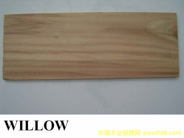 ������ľWillow��Ԕ����B