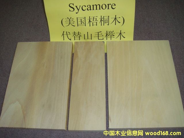 ������ͩ Sycamore��Ԕ����B