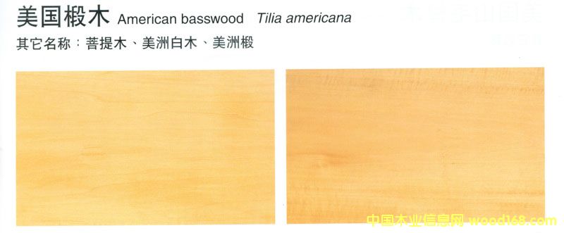 �����ľBasswood��Ԕ����B