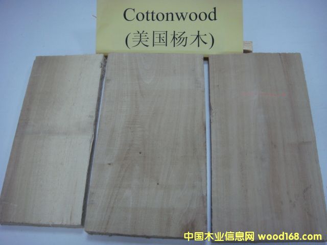 ������ľCottonwood��Ԕ����B