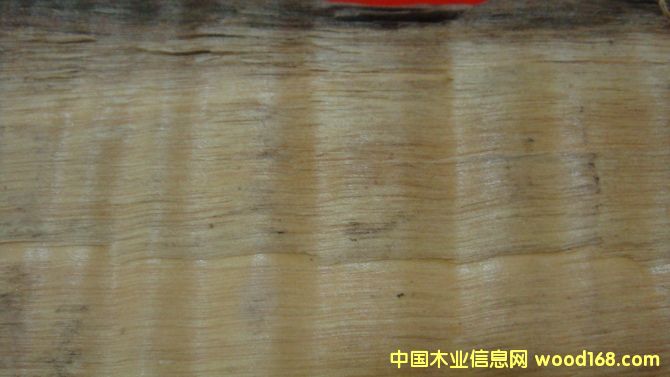 ��z�ľ-1��Ԕ����B