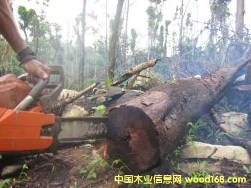 10��Ԕ����B