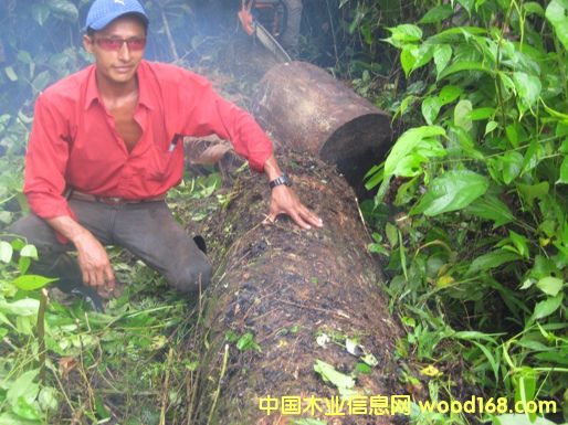 9��Ԕ����B