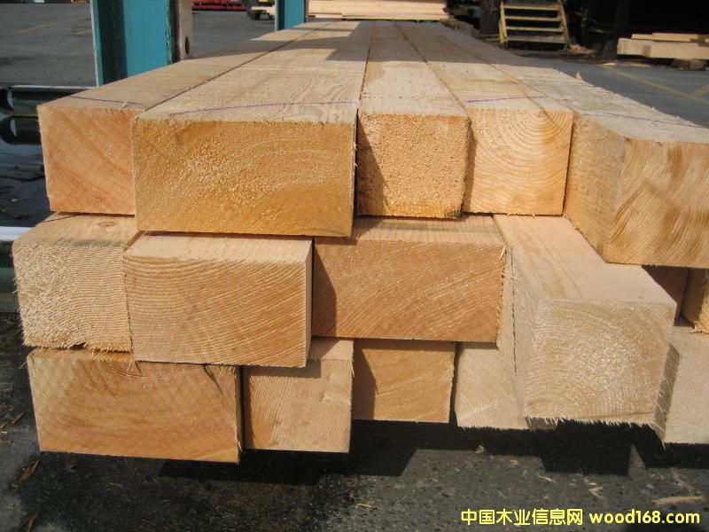 ��ɼ���3��Ԕ����B