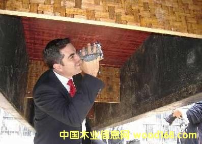 ����ӆ�����NҎ��Ę������z���Ԕ����B