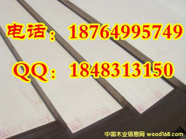 ��ľ��Ԕ��(x��)��B