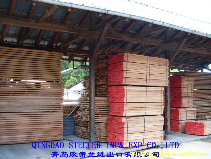 �M�ښW�޼t�ε�Ԕ����B