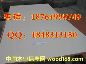 �h(hu��n)��12mm.15mm���b�z�ϰ�