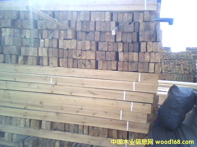 ľ����ľ���ǡ���Ԕ����B