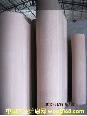 ��ľ�A����