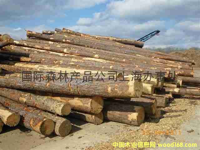 ��Ƥ�������Ϸ���ԭľֱ��