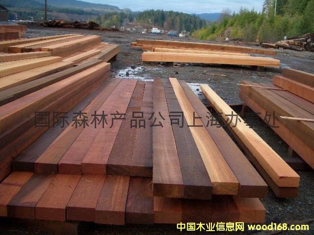 ���ô�tѩ��REDCEDAR