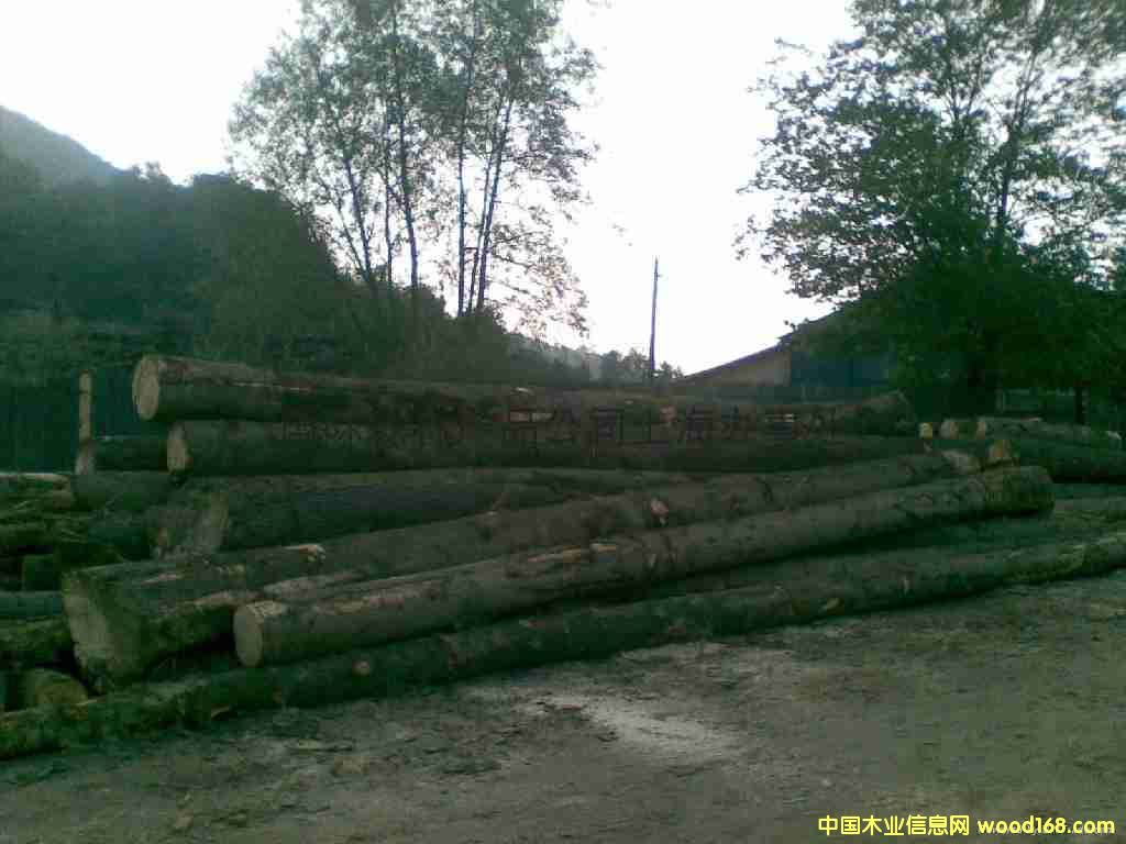 �|�W����ɼԭľֱ��