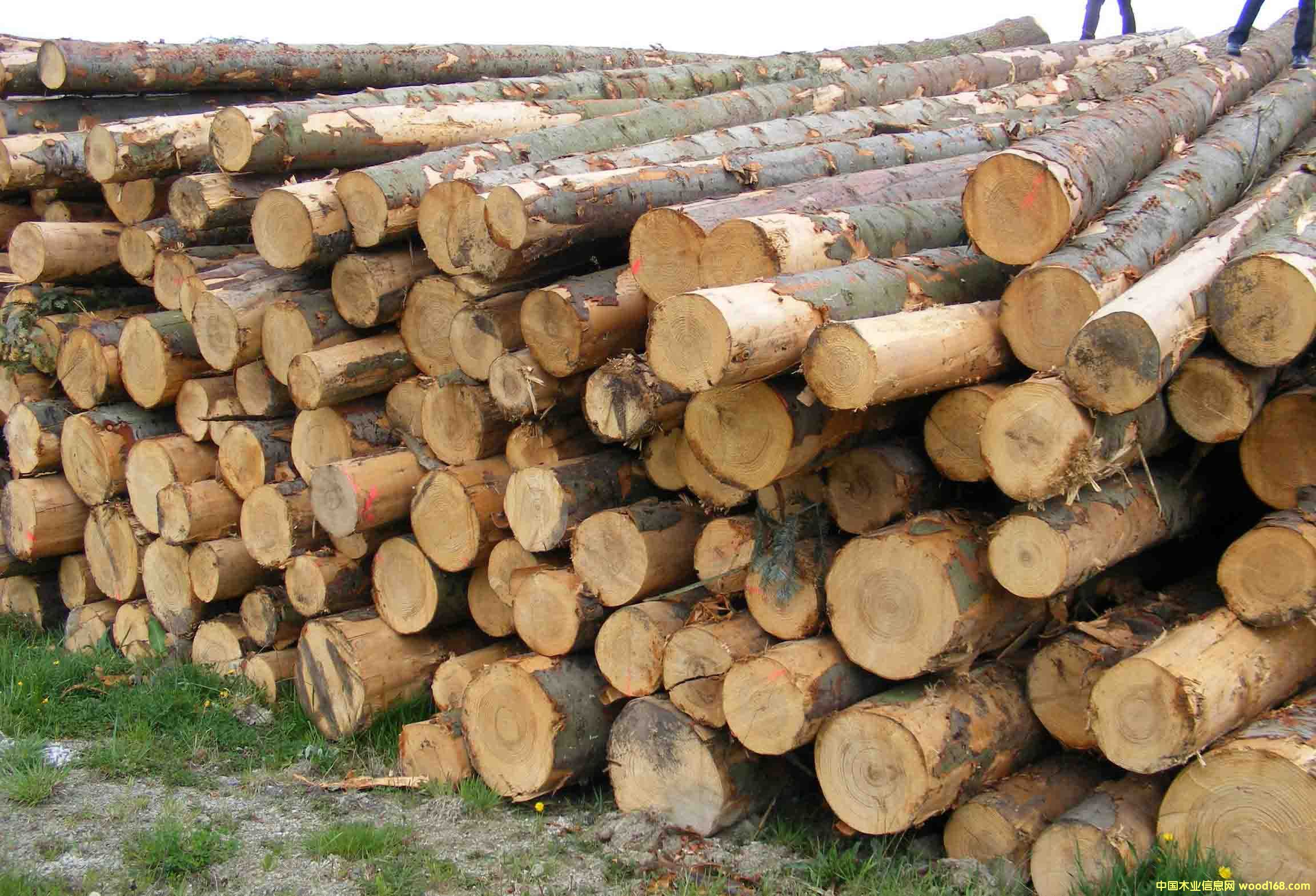 �W�������ɵ�Ԕ����B