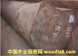 ���������Kľ ����ľ ���_�mԭľ ��� Peltogyne