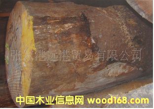 �໨��â�� ����ľԭľ ��� 