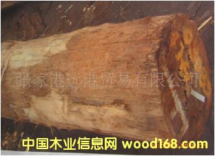 ����(y��ng)�u�ǳ�ɽ Ӳ��ľԭľ ���ALH