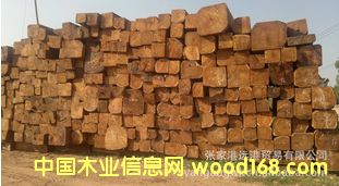 �����ϓ뻨�� �����̴ �ݻ��淽�� ԭľ