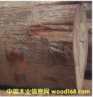 �����ѹ�ľ �ۘ�ľԭľ ľ�� ���aBIP / SH /SZ