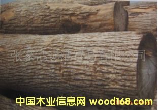 ����ˮ����ԭľ ��� lasenj Ash