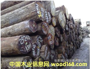  ����ɽ����ԭľ ��� ľ�� KAN / KDIS