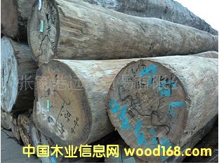 ���������m ԭľ ľ�� ���aAGL