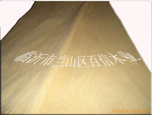 ɽ�� �ΰ��Ԕ����B