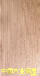 �ľֱ�y��Ԕ����B