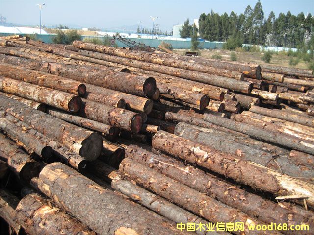 ������ԭľ��Ԕ����B