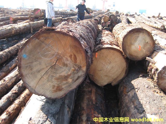 ��ɼԭľ��Ԕ����B