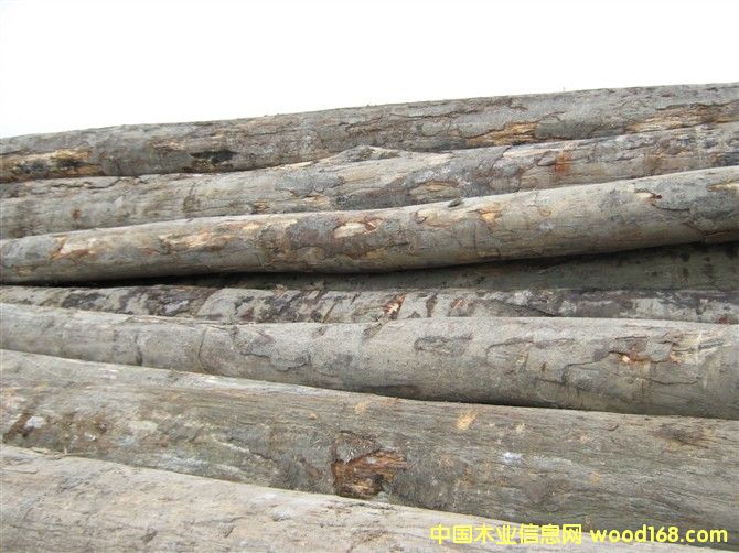 �𲻓Q��Ԕ��(x��)��B