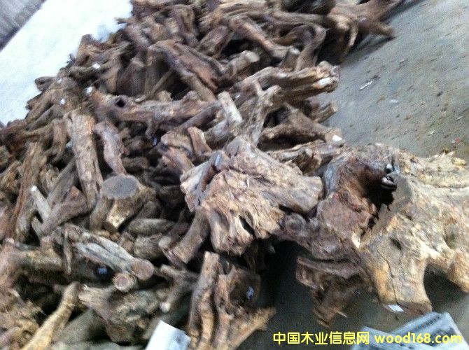 ����֦��(sh��)�^��Ԕ��(x��)��B