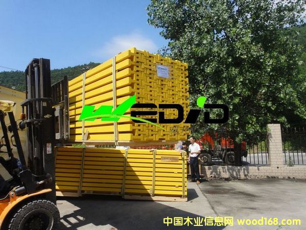 ������ ľ������