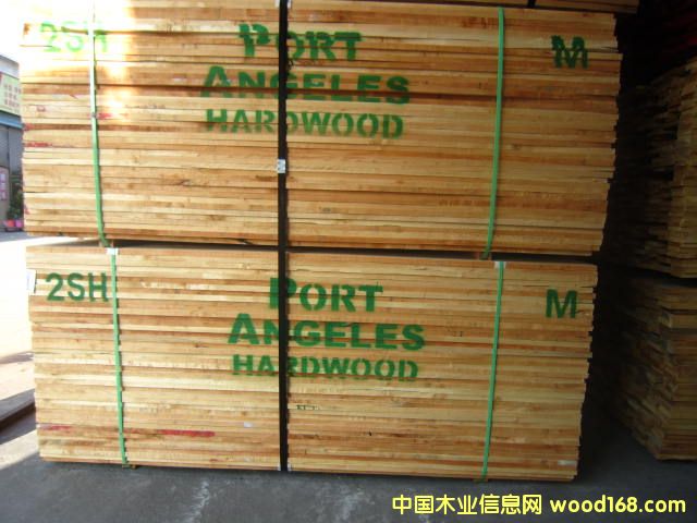 美國太平洋楓木