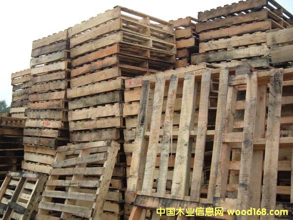 �B�T����ľ�бP��Ԕ����B