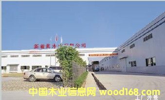 ���Ӱ��Ԕ����B