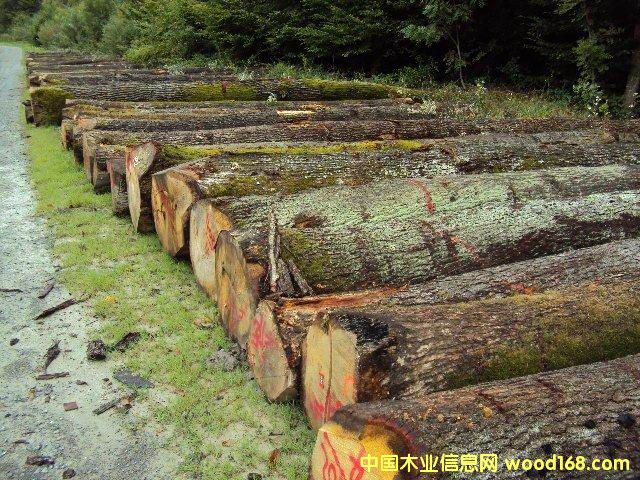 ����ԭľ��Ԕ����B