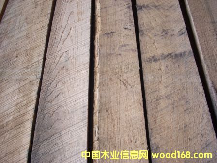 �����t���Ԕ����B