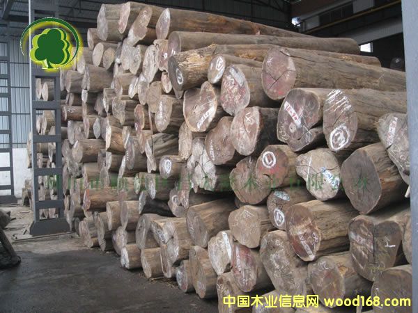 ������ľԭľ ����ӆ��@����/���_��13690415561��Ԕ����B