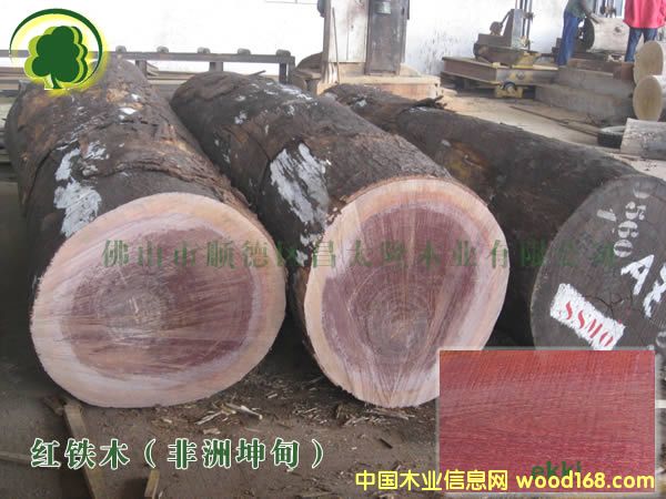 �������t�Fľ �@����Ҏ��巽��Ԕ����B