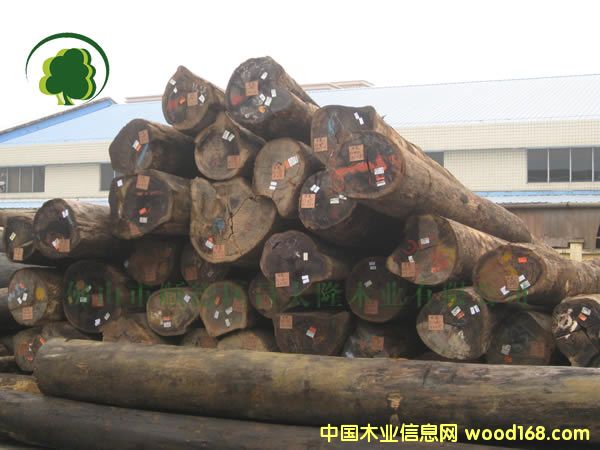 ӆ�郞�|�����հ�(�ʹP) �@�ְ巽�����ϛ�ͤ�ϵ�Ԕ����B