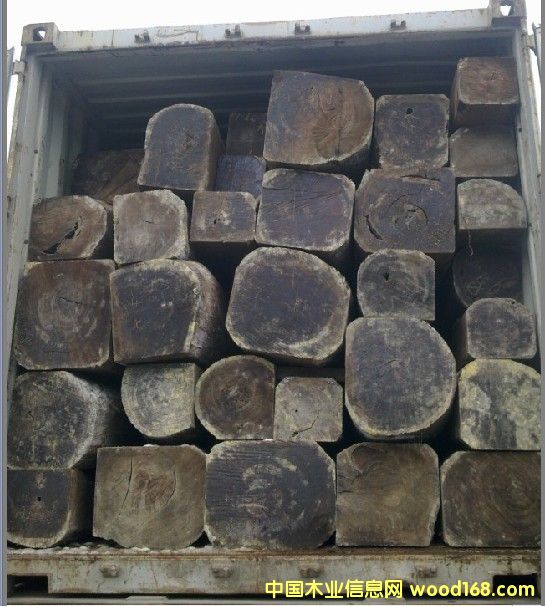 ������ؐ��̴��Ԕ����B