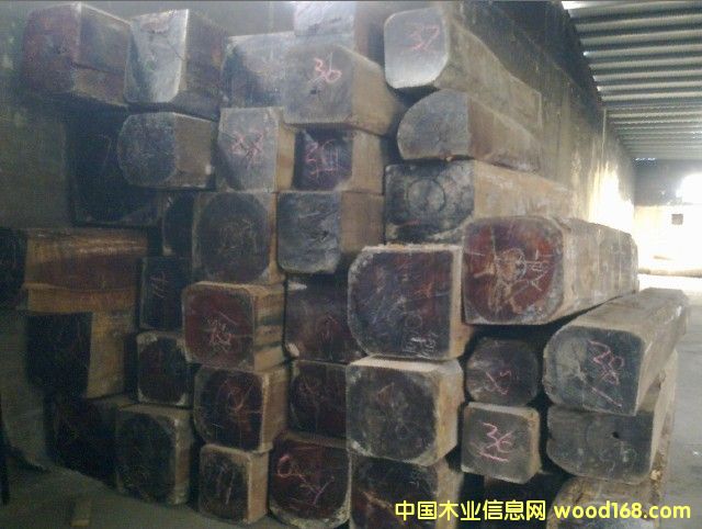 ����ľԭľ��Ԕ����B