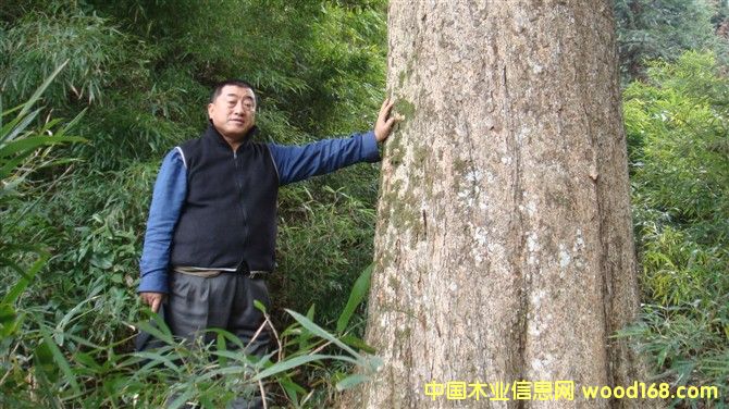 ��z�ľ-4��Ԕ����B