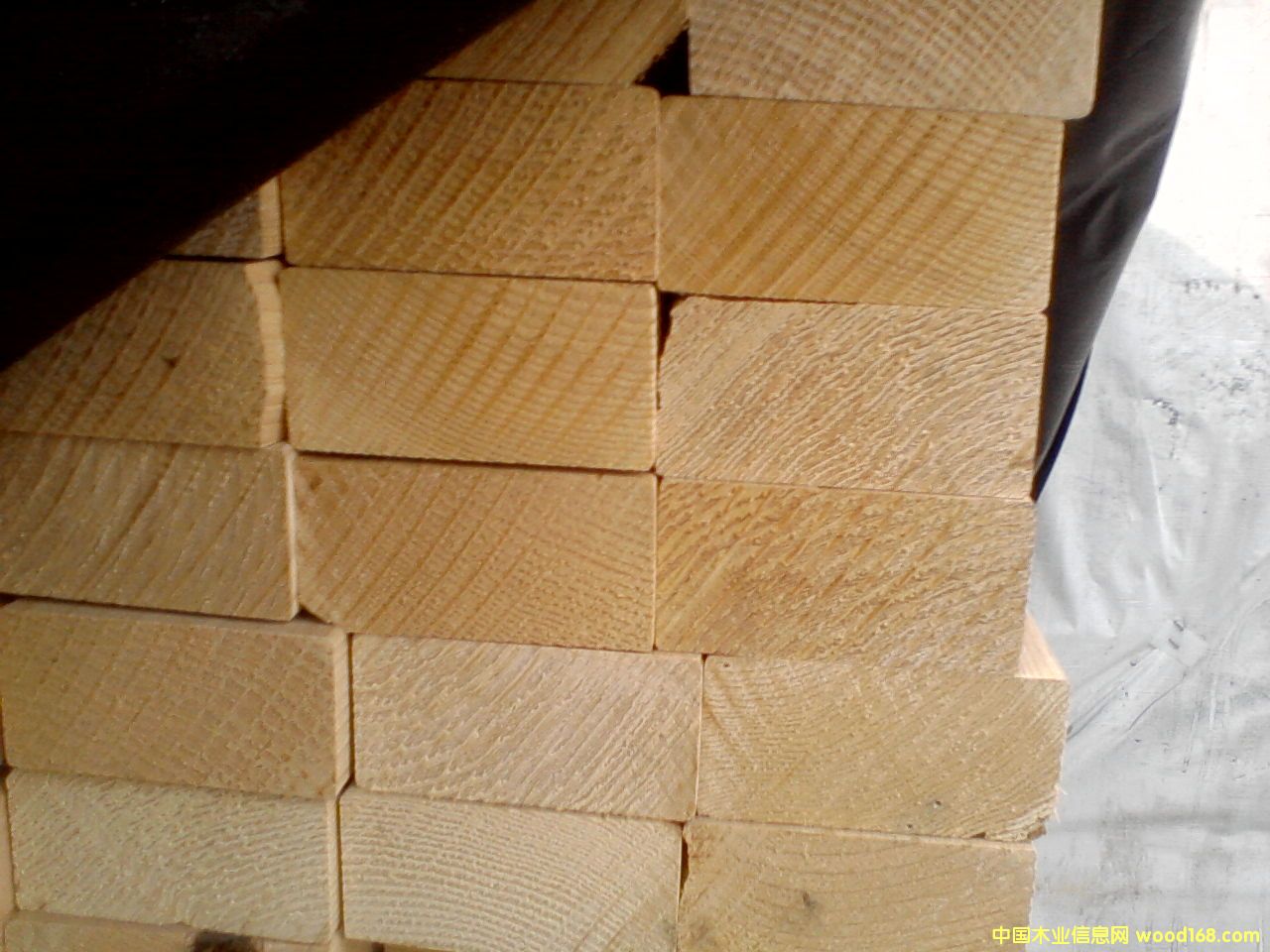 �Fɼ����ľ����Ԕ����B